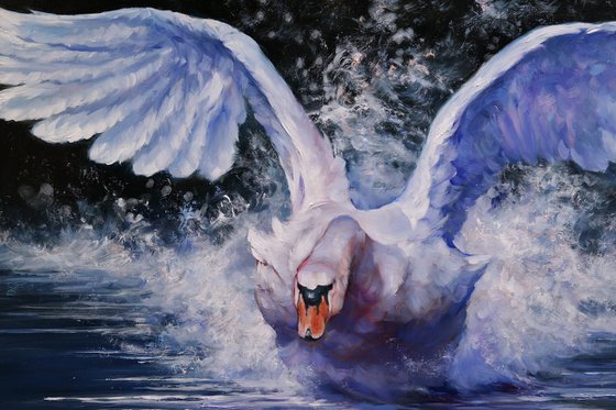 "A moment of freedom"