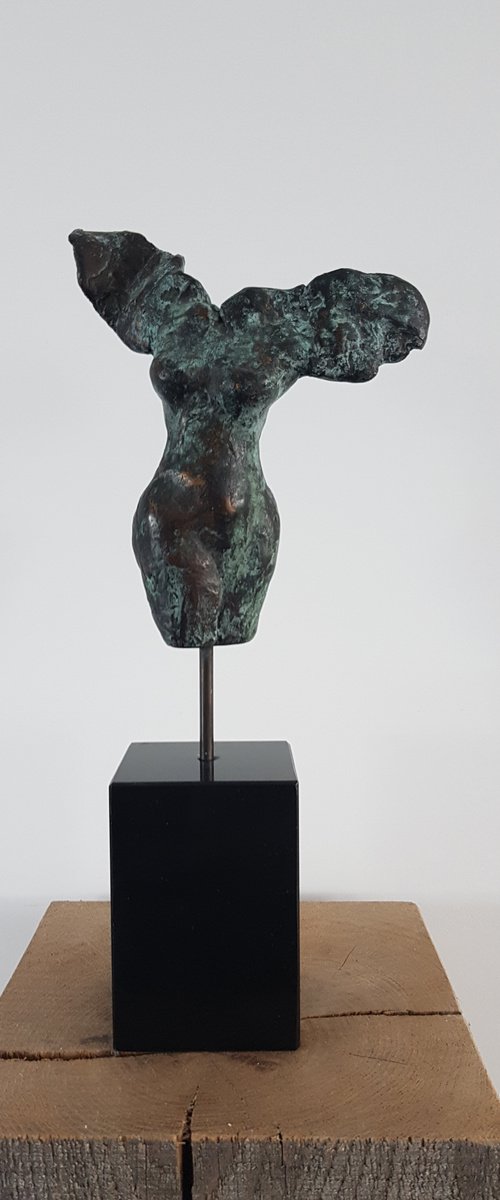 Angel by Els Driesen