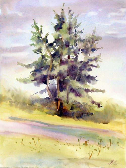 Lush pine trees in watercolor, Evergreen nature by Yulia Evsyukova