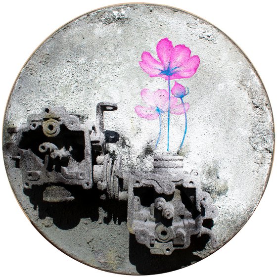 Germinazione n.1