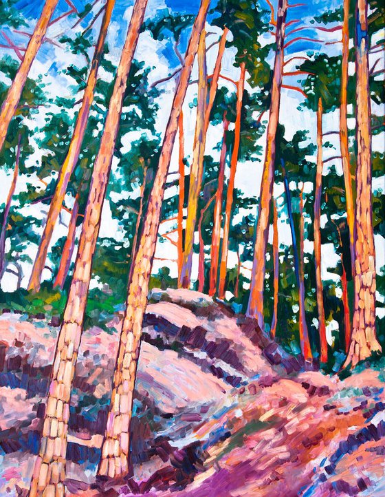 Pines - 70x90cm canvas  - oil