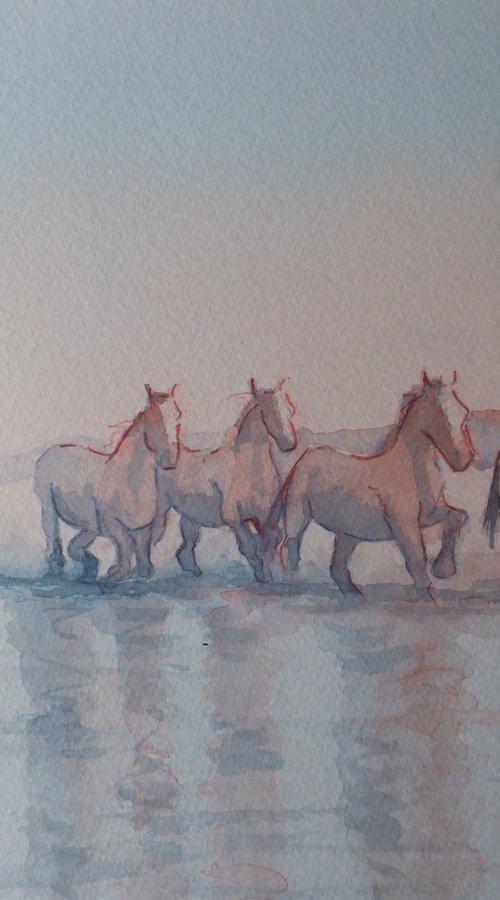 Sunset Horses in the Wetlands by David Harmer