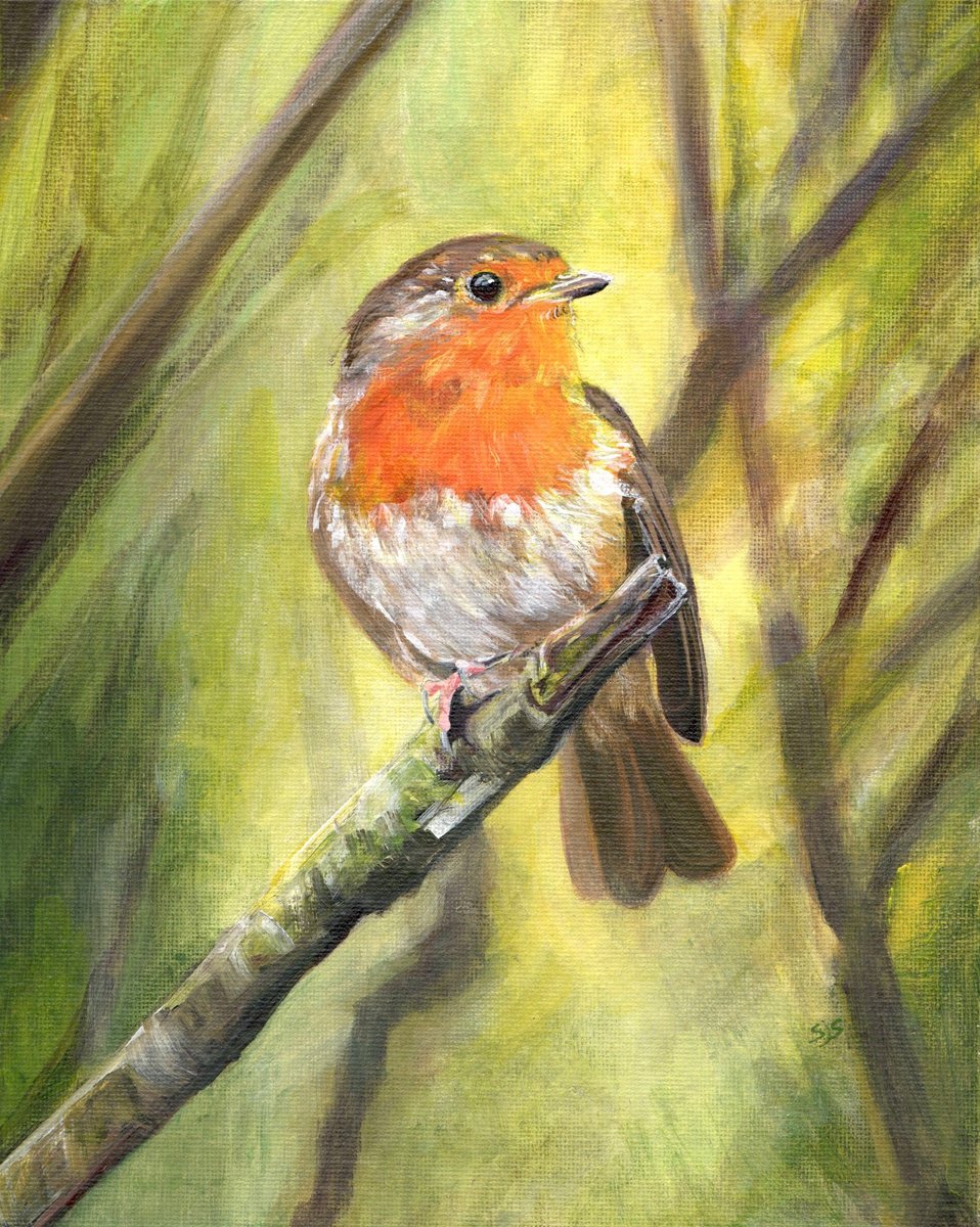 Photorealistic Animal Acrylic Painting By Sarah Stowe, 11 X 13", Robins View, Original Artwork