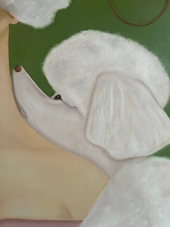 "The Choice Is Yours" on pink.