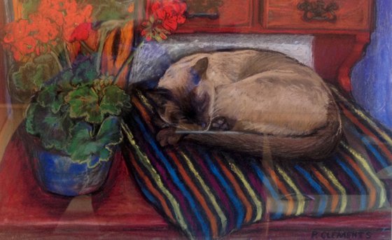 Bob the cat on the dresser