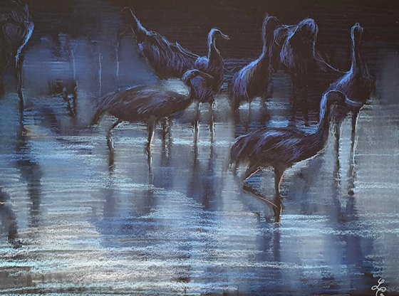 Early Morning. Migrating Birds at ha-Hula valley . 1st edition.