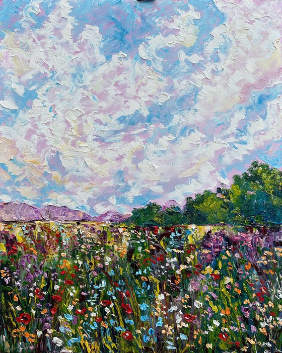 Pink clouds over the field