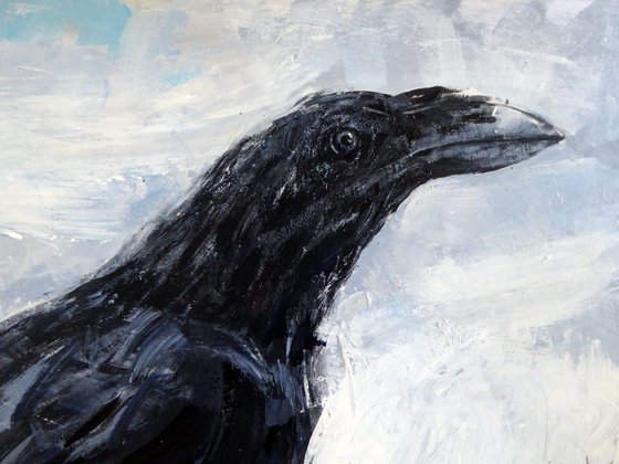 Raven, Highgate 2