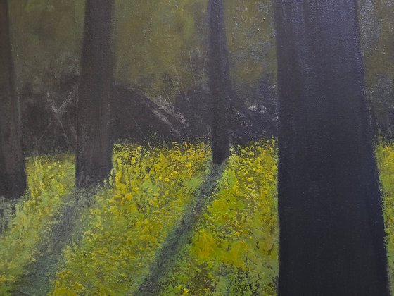 Light Within the Quiet