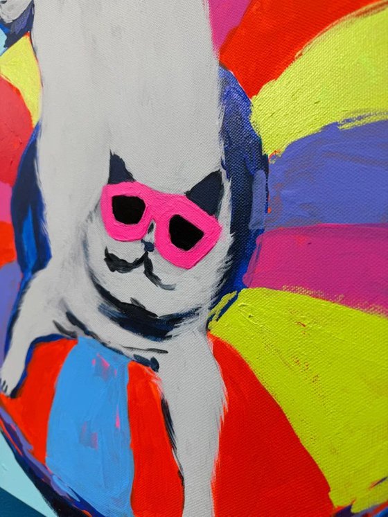Cool Cat Summer