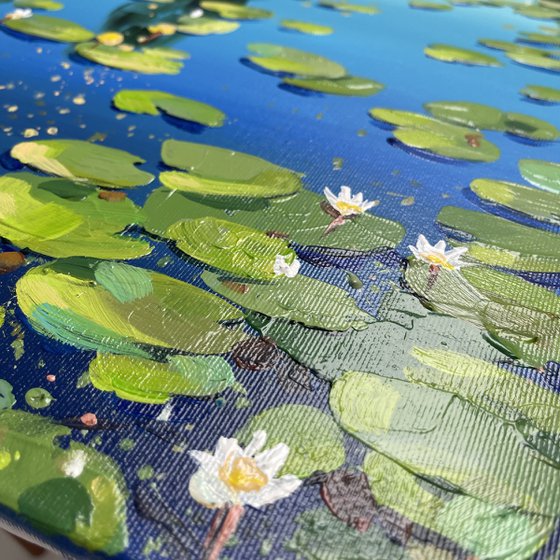Water lilies on the mirror