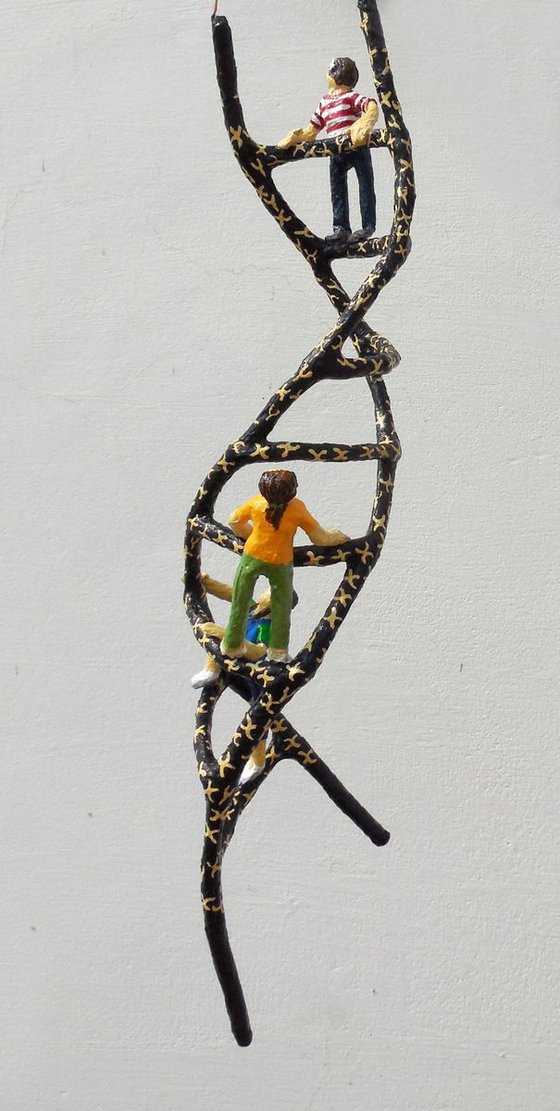 Climbing the DNA Ladder