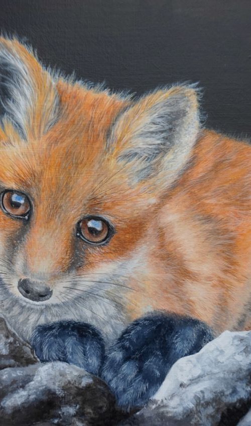 Fox Cub on Rocks by Jayne Farrer