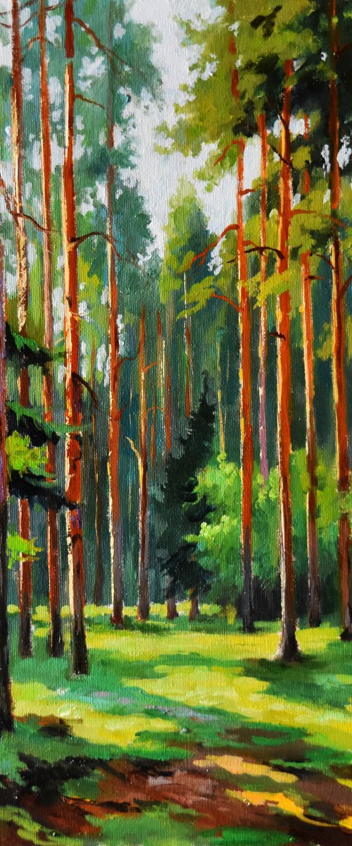 A sunny day in the pine forest by Serghei Ghetiu