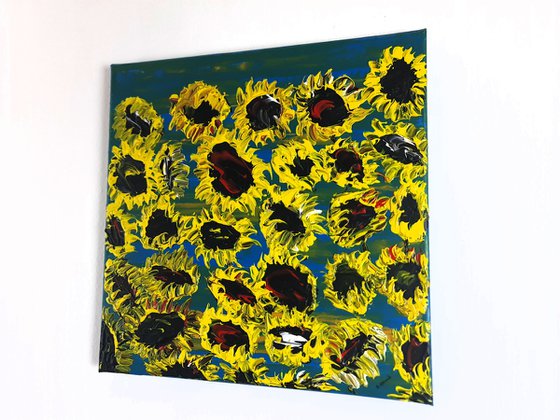 Blooming sunflowers 4