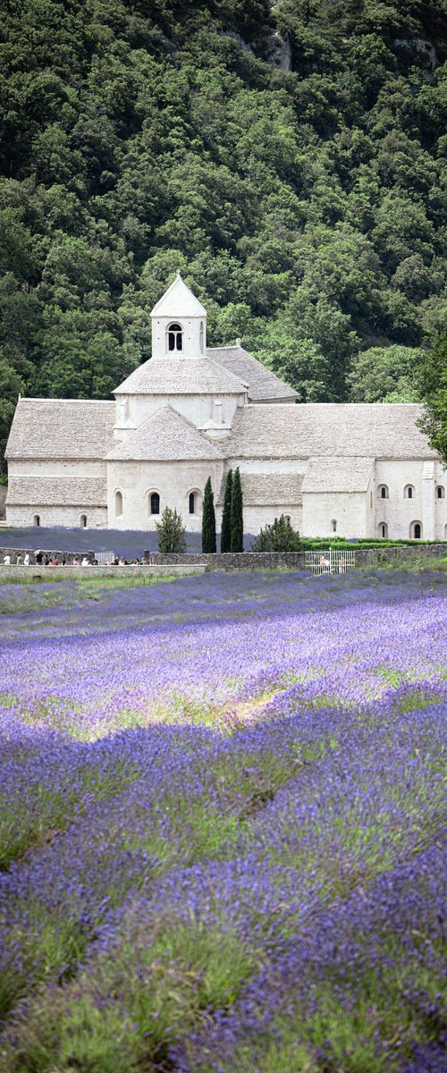 THE BEAUTIFUL ABBEY by Fabio Accorrà