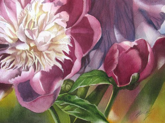 Peony with iris