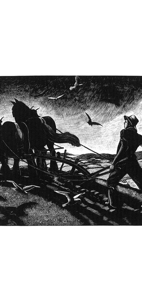November: Ploughing by Clare Leighton