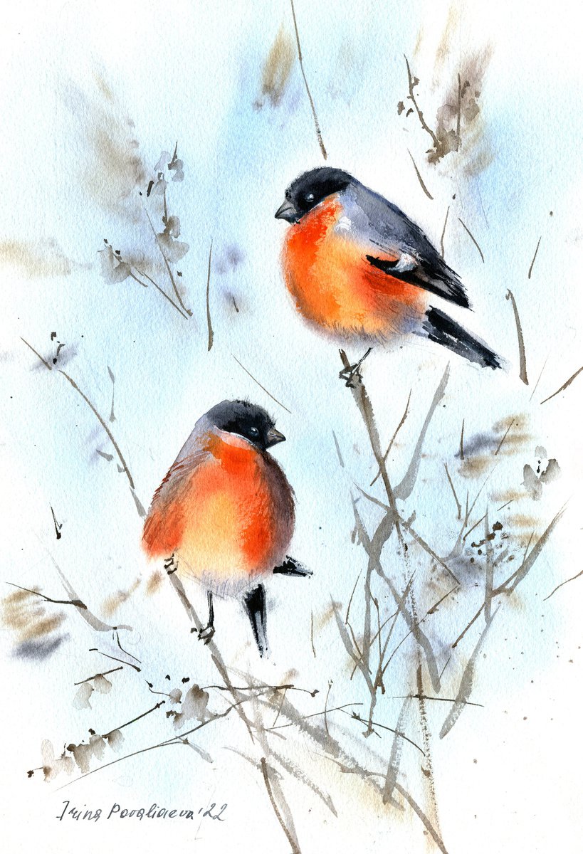 Bullfinches on branch original watercolour painting with two bright winter birds gift idea by Irina Povaliaeva