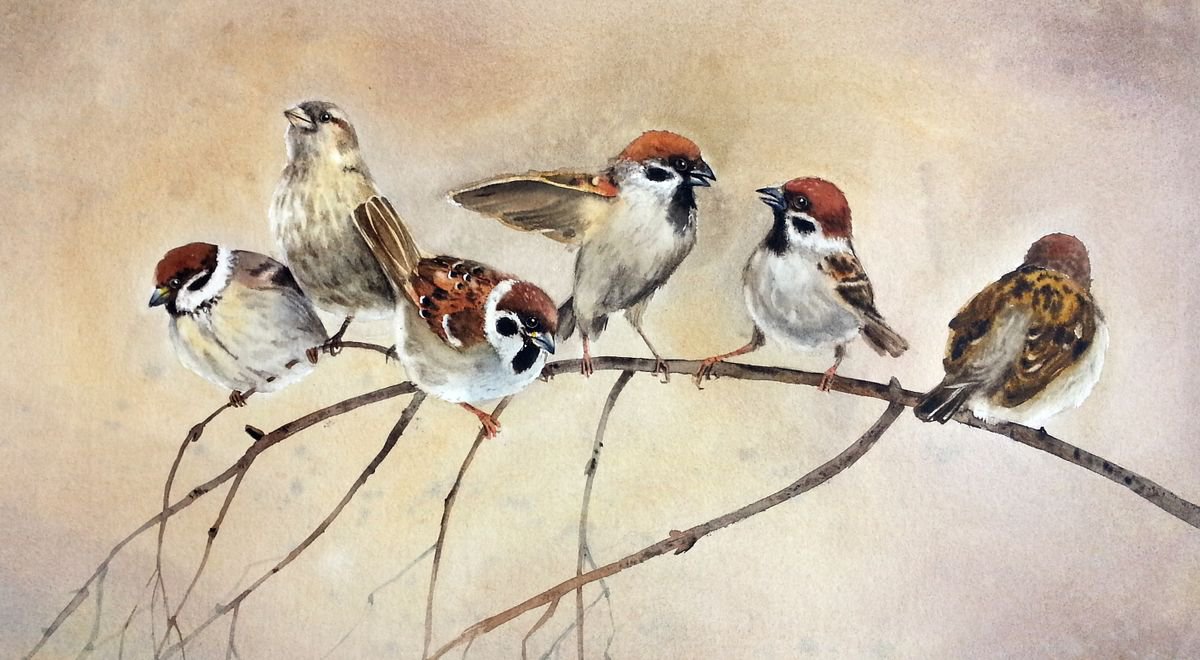 Battle The Sparrows - Sparrow Bird Watercolor | Artfinder