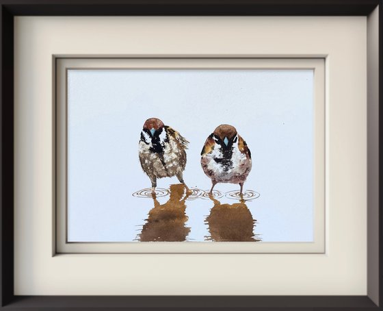 Birds. A Pair of Wild sparrows