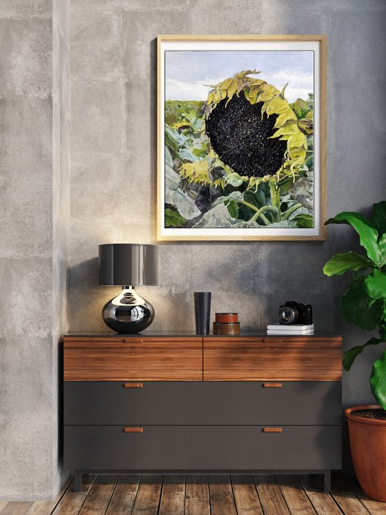 Seeds for the Future Harvest