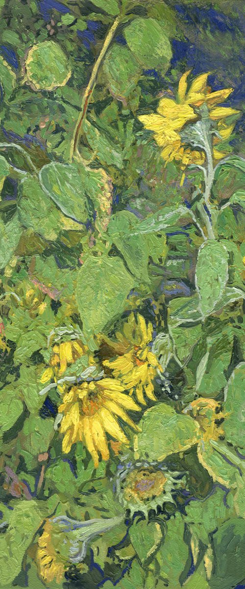 Sunflowers by Simon Kozhin