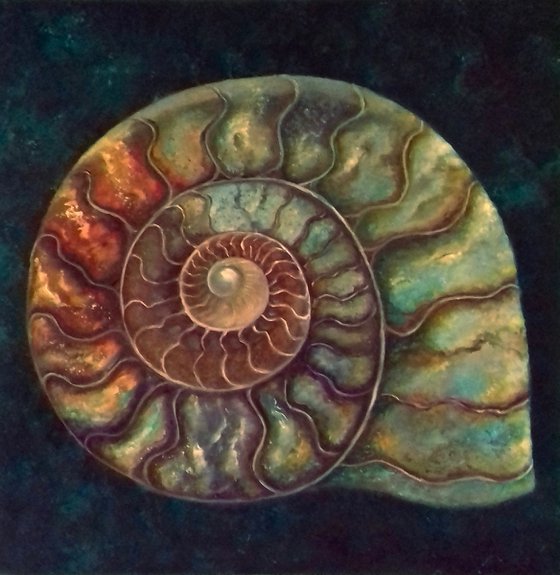 Ammonite II