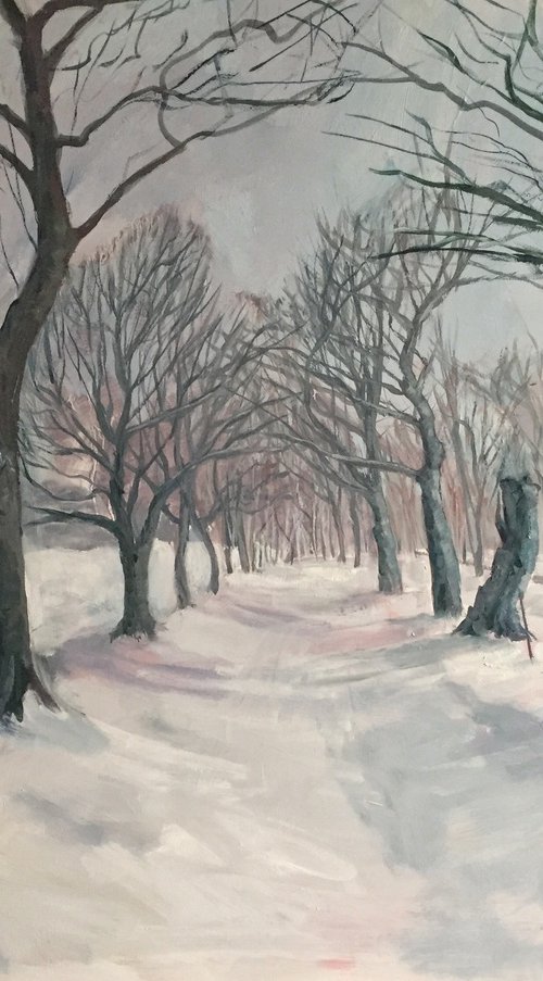 'Avenue of trees, Edinburgh Meadows, Winter' by Stephen Howard Harrison