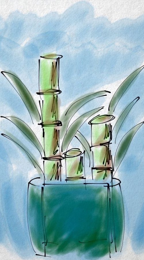 Bamboo Plant by Jerry Fess
