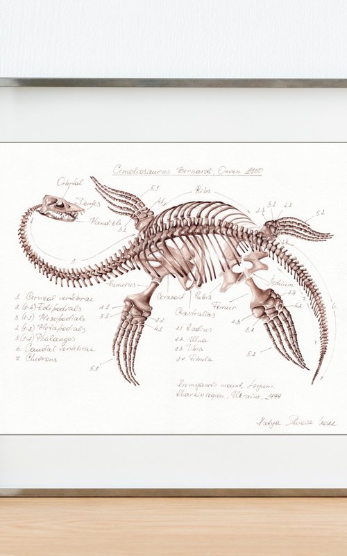 CIMOLIOSAURUS BERNARDI, Plesiosaurus from Ukraine by Katya Shiova