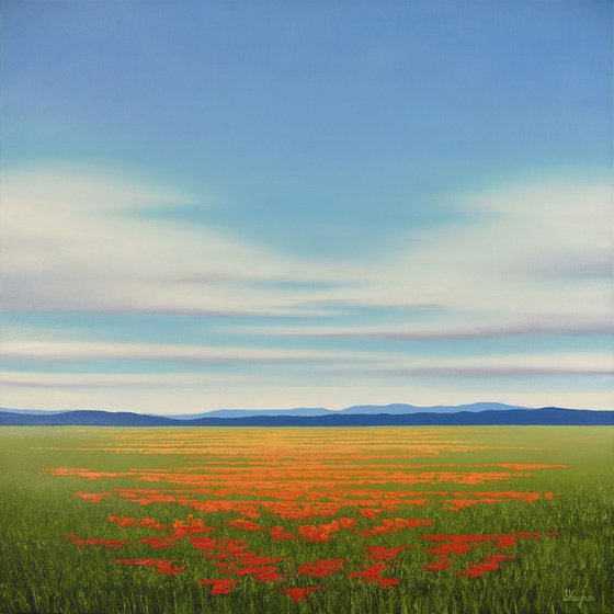 Summer Poppies - Flower Field