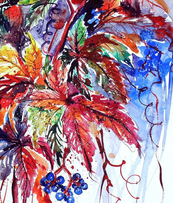 Lovely autumn - wildgrapes