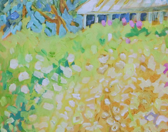 Lazy Summers Afternoon