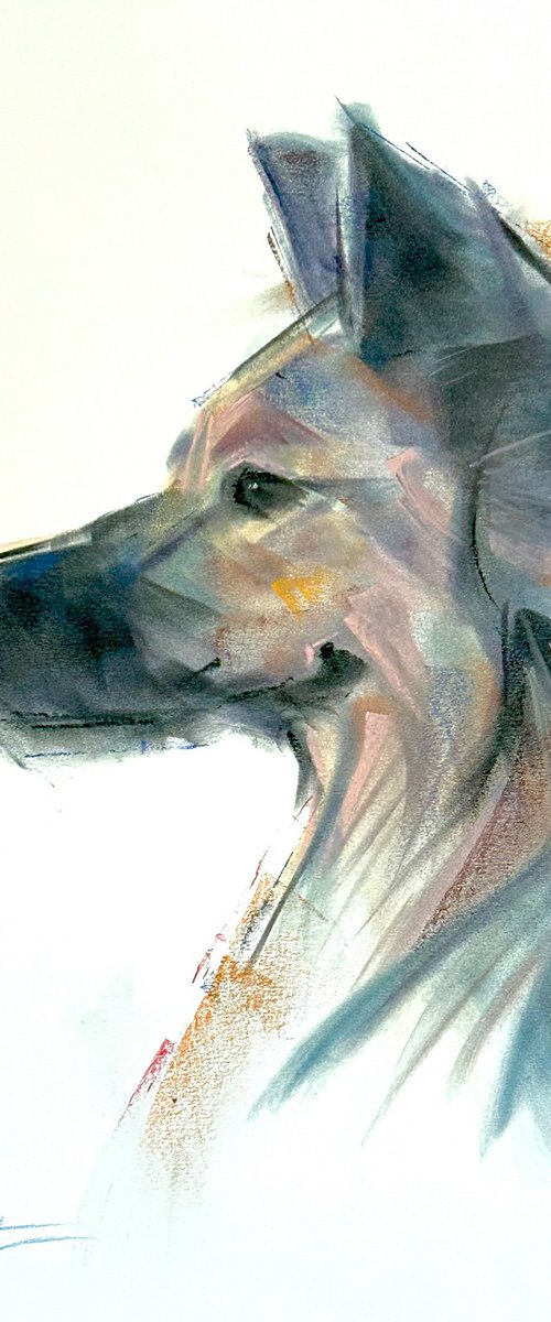 a noble nose by Deke Wightman