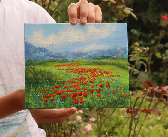 Small poppy field