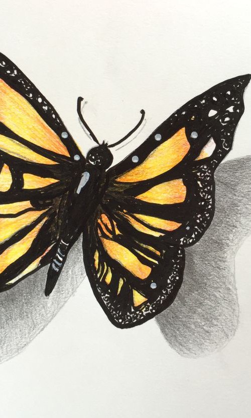 Butterfly 3D Yellow by Kumi Muttu