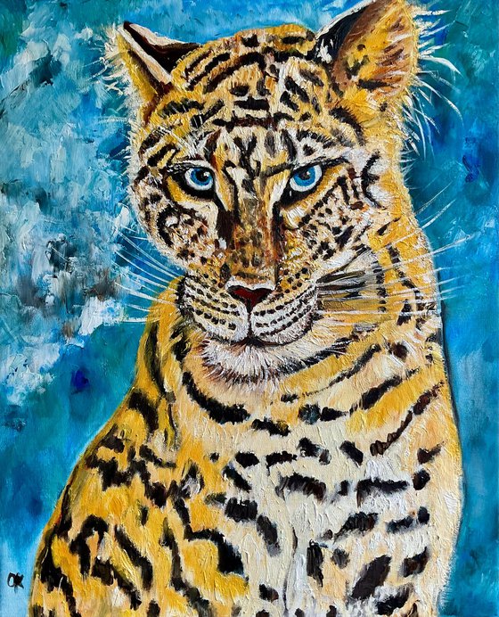 Leopard . Blue  eyes.