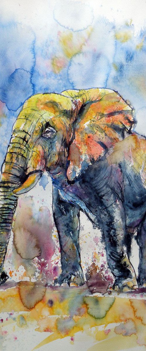 Big elephant by Kovács Anna Brigitta