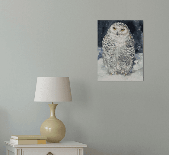 Snow Owl White Wex