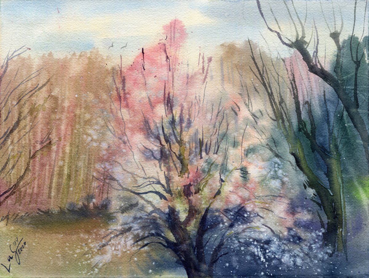 The blooming tree. View from the window by SVITLANA LAGUTINA