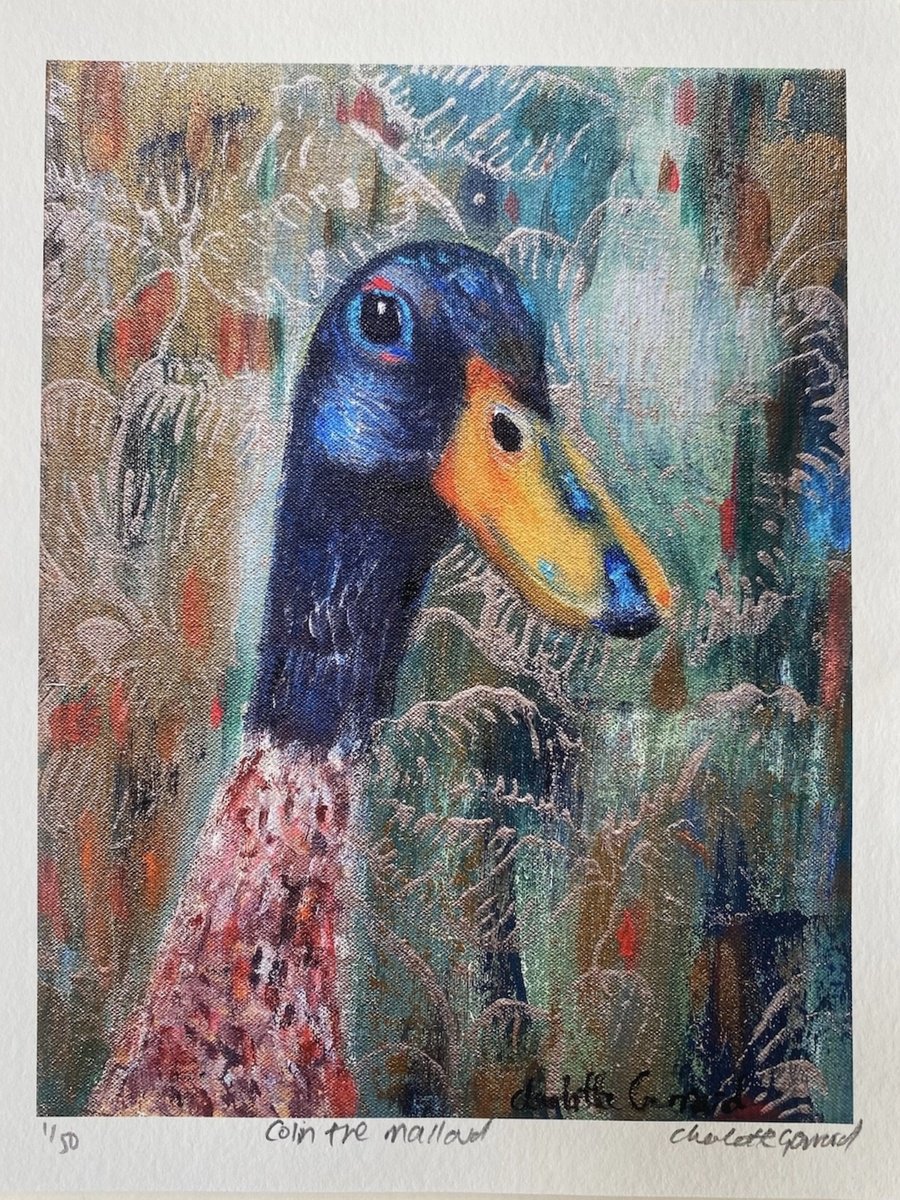 Expressive Animal Print By Charlotte Gerrard, 8 X 10, Colin The Mallard, Original Artwork