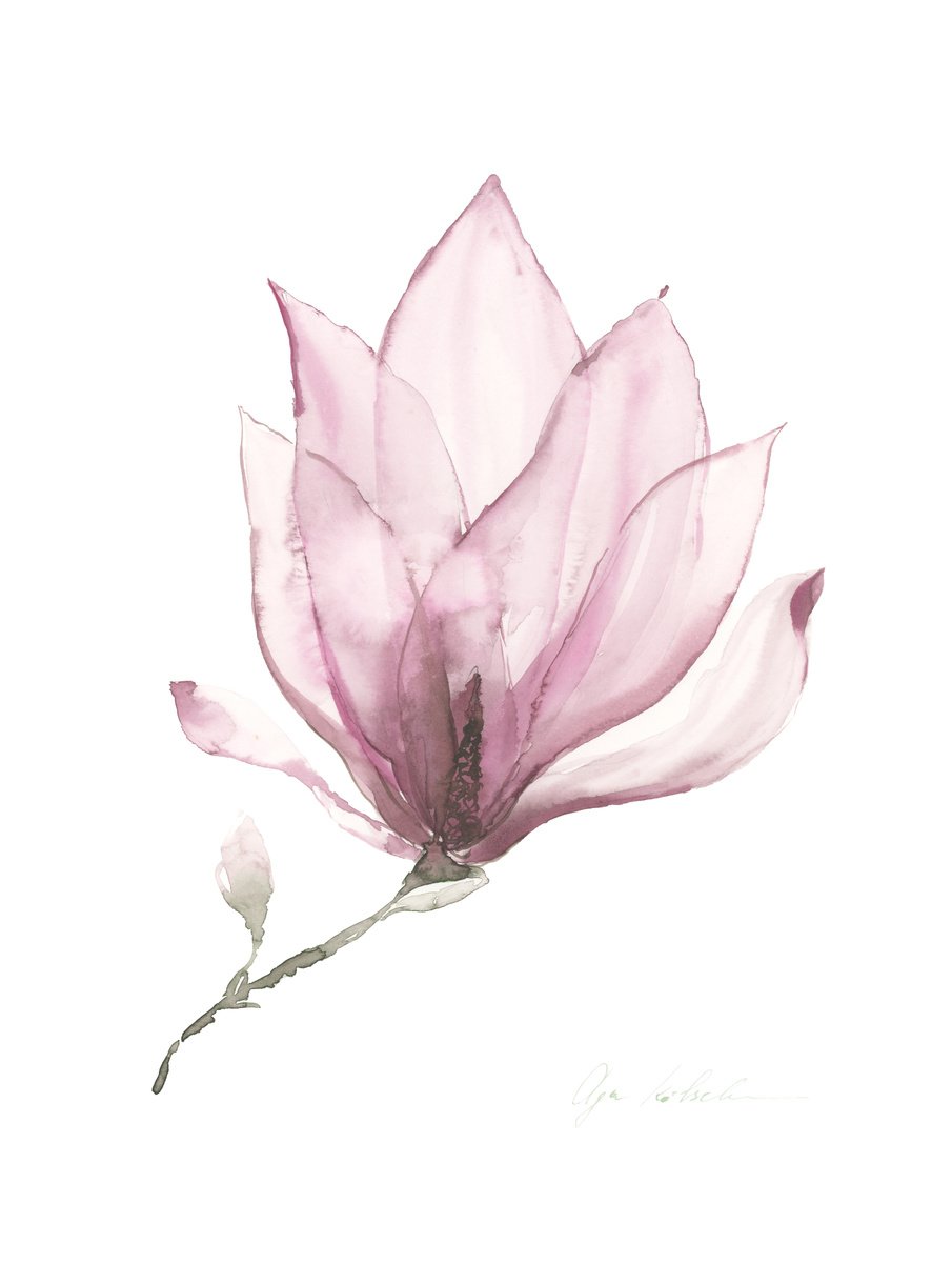 Transparent Magnolia by Olga Koelsch
