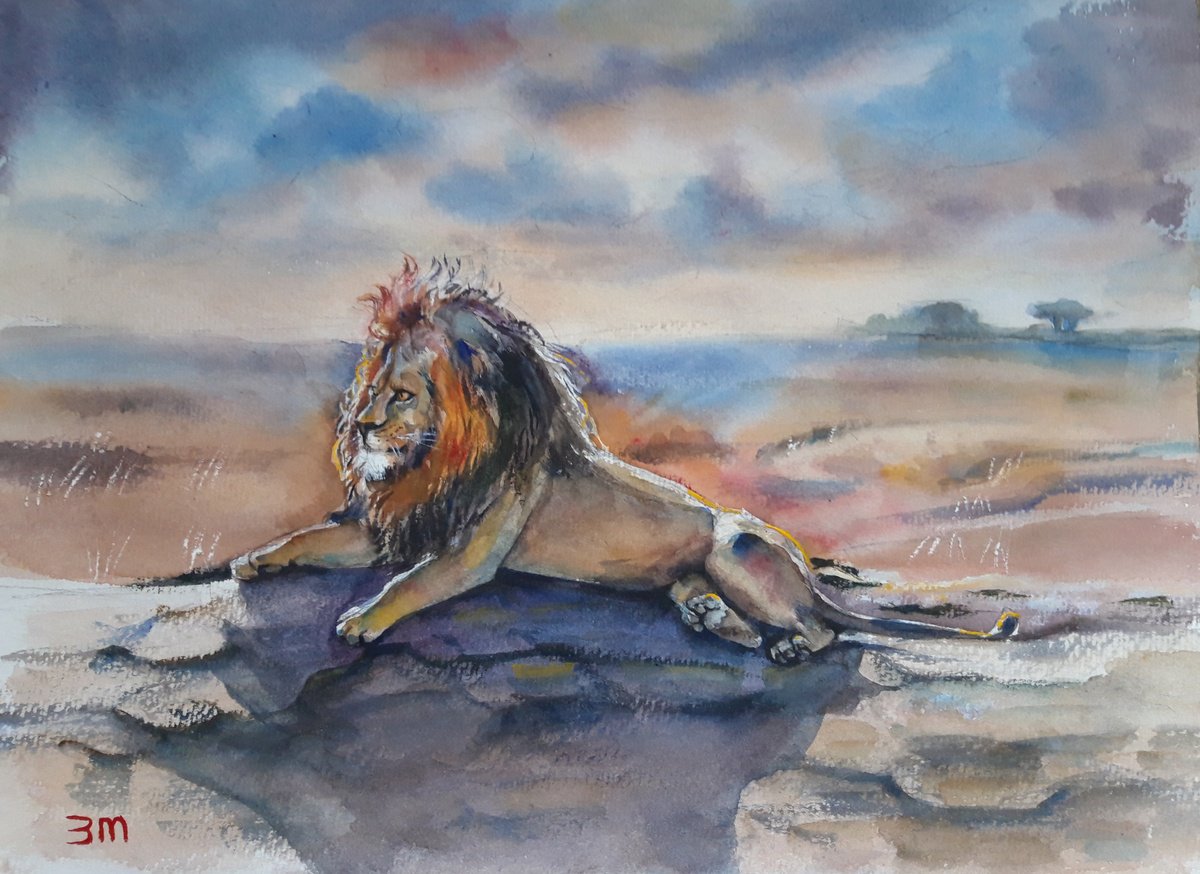 Lion, Wildlife, Big Cat by Bozhidara Mircheva