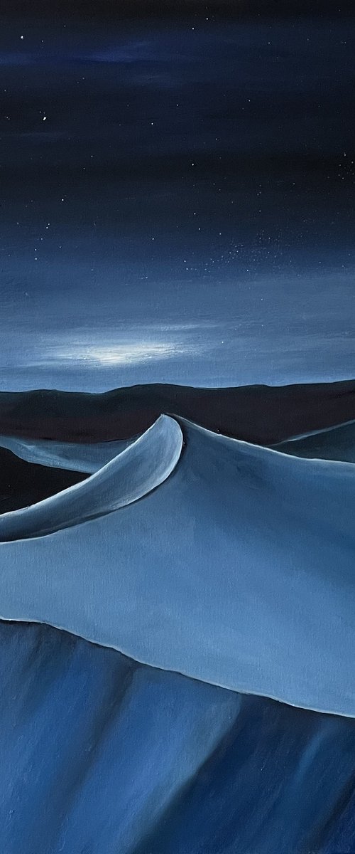 Night in the desert by Anastasiia Novitskaya