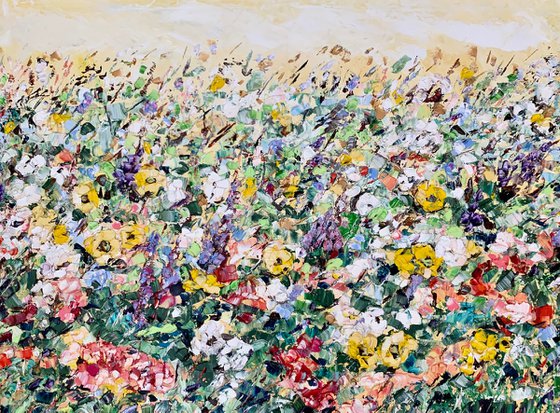 Colorful summer Field