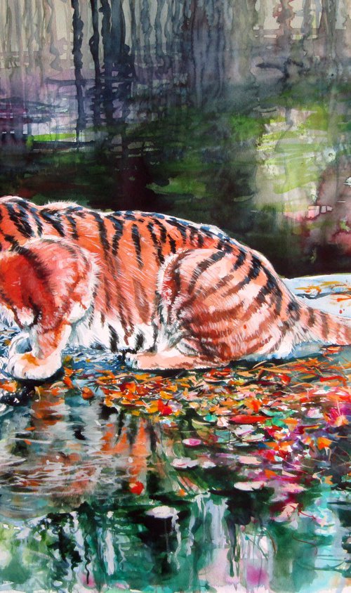 Drinking tiger by Kovács Anna Brigitta