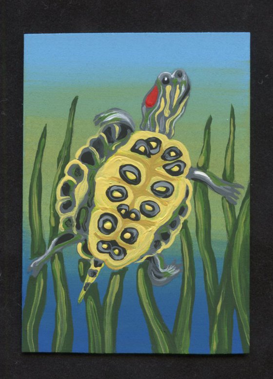 ACEO ATC Original Painting Red Ear Slider Turtle Pet Wildlife Art-Carla Smale