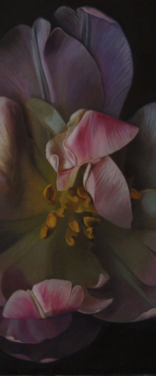 flower by Darya Klunnikova