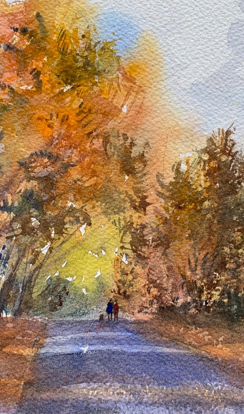 Mt Wilson autumn by Shelly Du